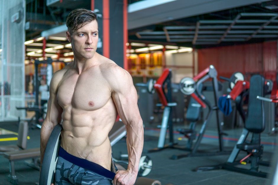 v shred workout plan pdf free